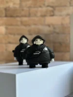 کاور ایرپاد Kaws : The North Face (کدa0057) - Image 3